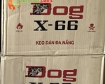 Keo dog X66 giá sỉ⭐️Bình Dương⭐️